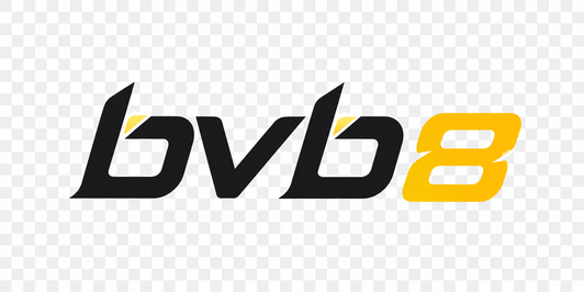 bvb8 logo